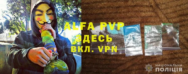стафф Волоколамск